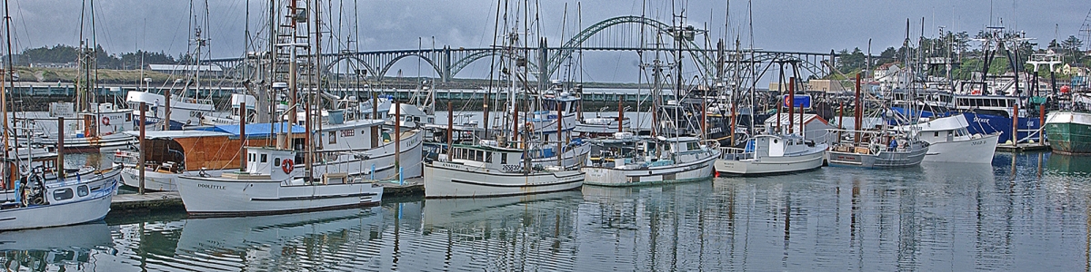 Boats in the marina